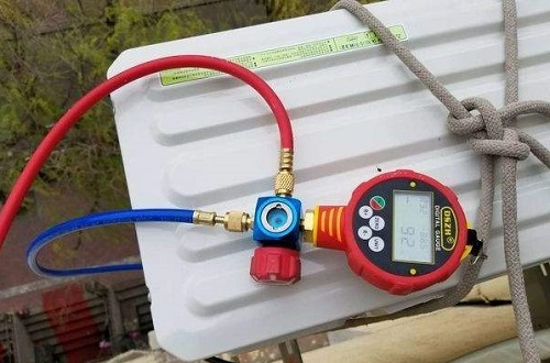 ό {ѩNTԒ